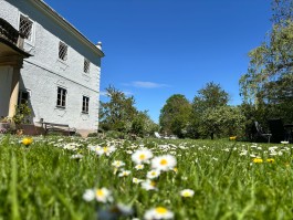Ritas Mill